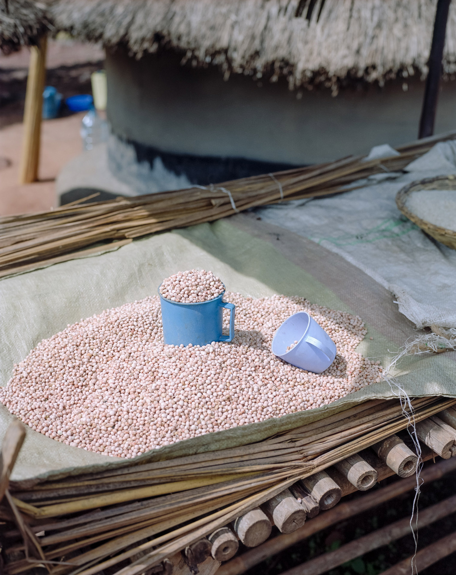 dry grains on tarp with measuring cups by Alexi Hobbs in Uganda for Football for good with Sportsnet