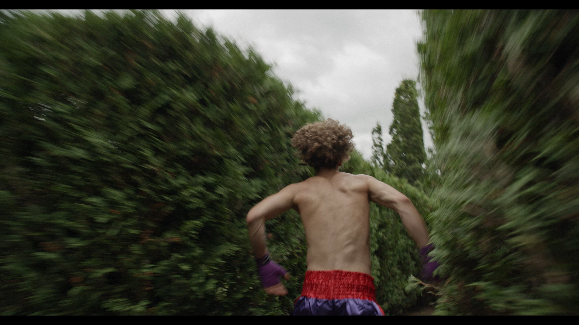 actor running in a vegetal labyrinth in boxing gear looking beaten up and panicked for Alaclair Ensemble hip hop collective music video Felix filmed by Les Gamins featuring rapper Souldia