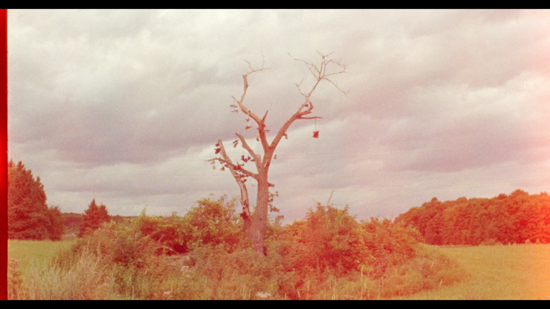dead and dry tree in middle of field with tied up together pairs of shoes hanging from it for Alaclair Ensemble hip hop collective music video Felix filmed by Les Gamins featuring rapper Souldia