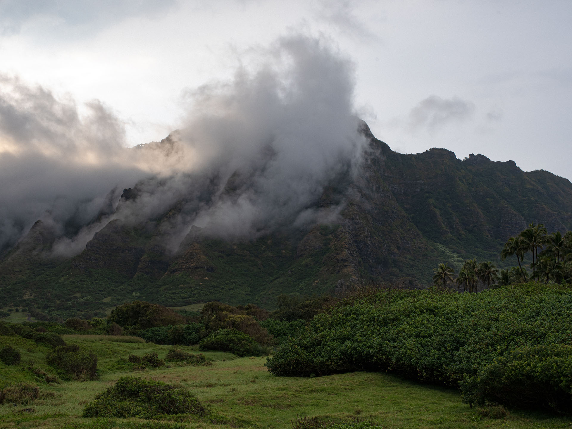mountain view by Alexi Hobbs in Hawai'i for enRoute Magazine