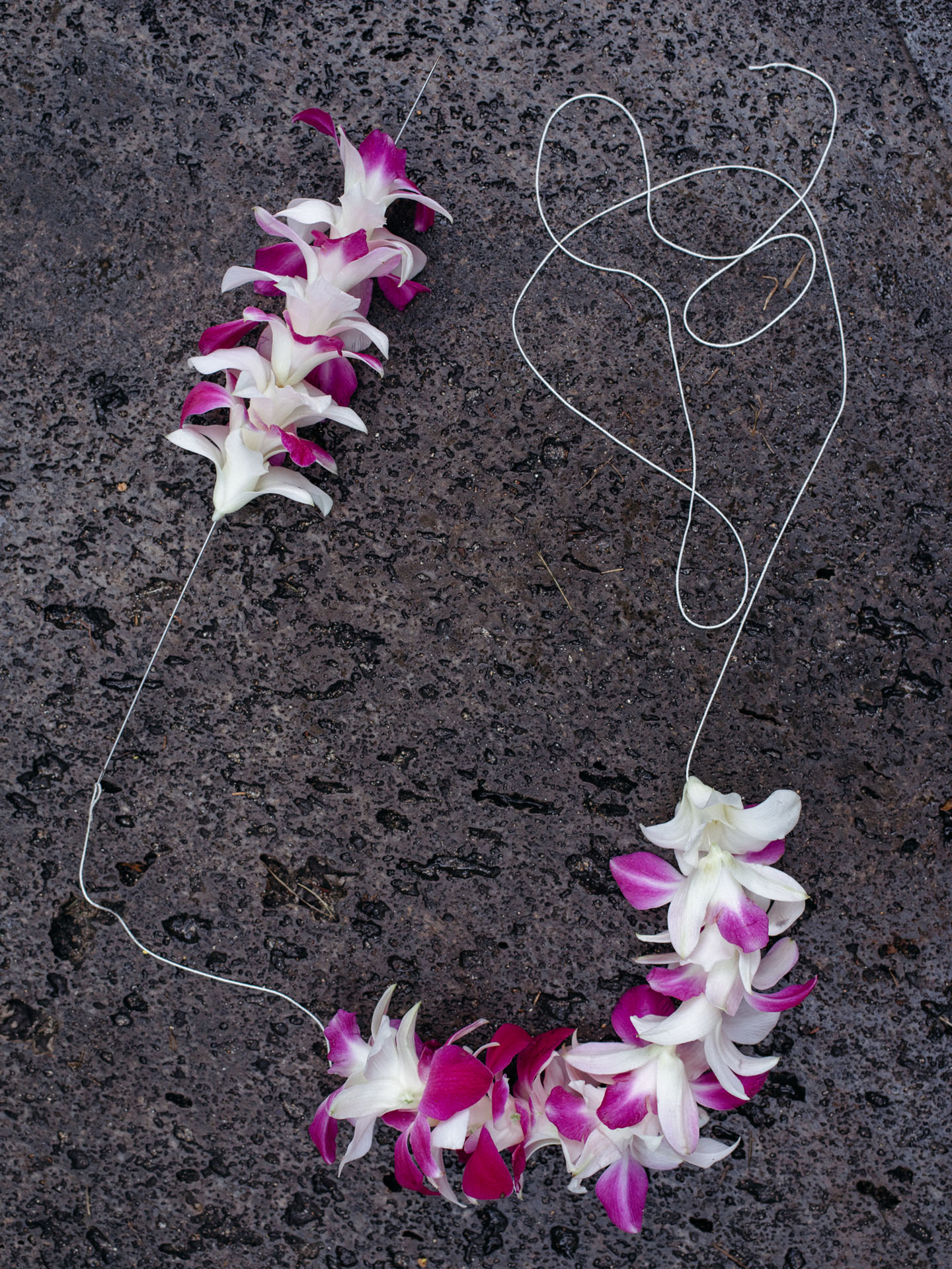 orchids flowers getting threaded with needle to make a lei flower necklace by Alexi Hobbs in Hawaii for enRoute Magazine
