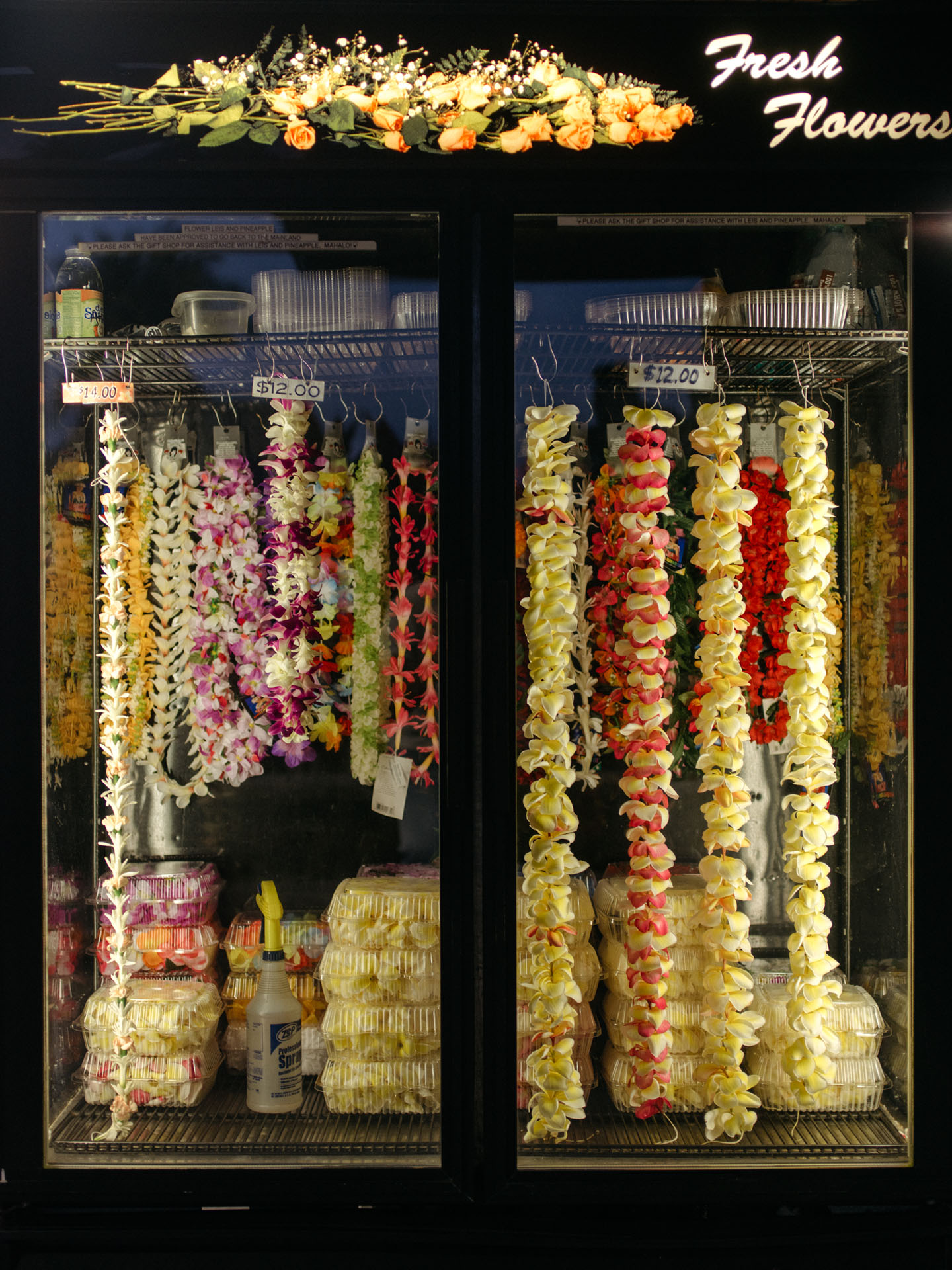 necklace of fresh flowers leis in fridge by Alexi Hobbs in Hawai'i for enRoute Magazine