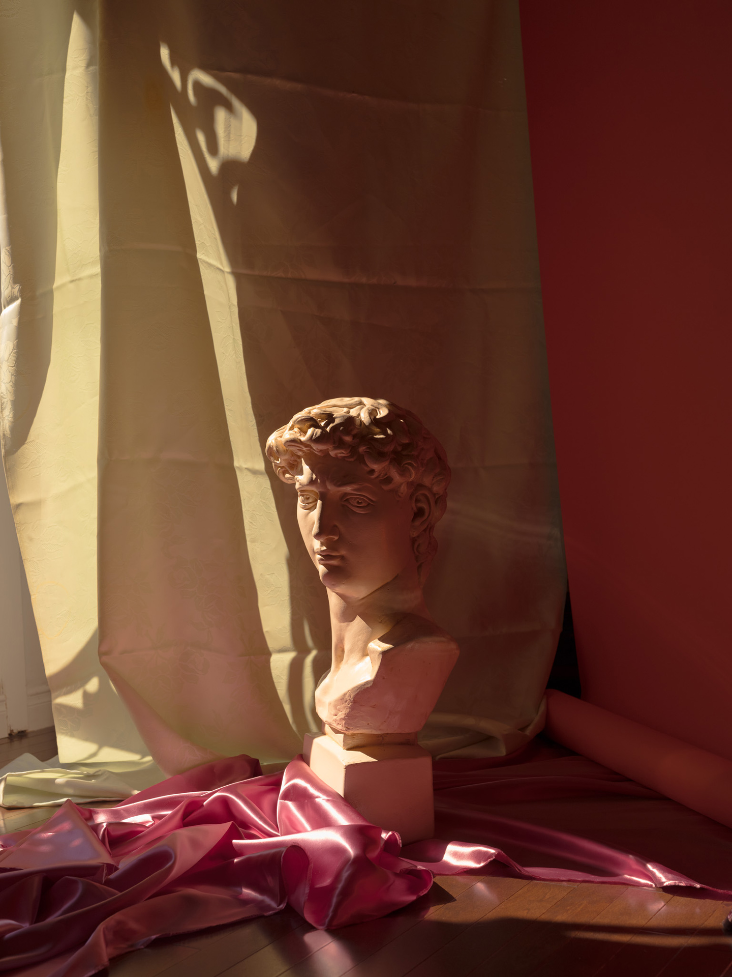 white roman bust in sunlight with pink satin fabric by Maxyme G Delisle for Fanny Bloom Liqueur album