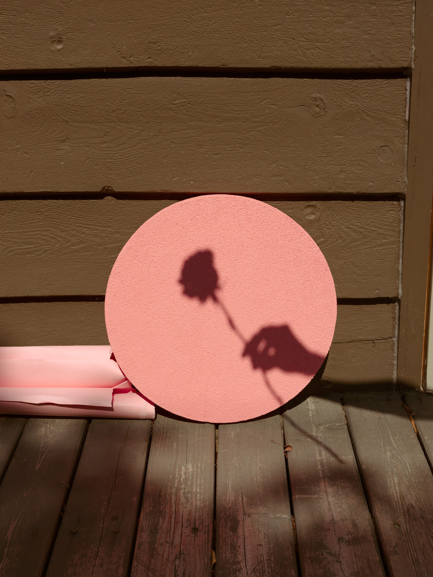 shadow of hand holding rose on pink painted wood circle beside wall by Maxyme G Delisle for Fanny Bloom Liqueur album