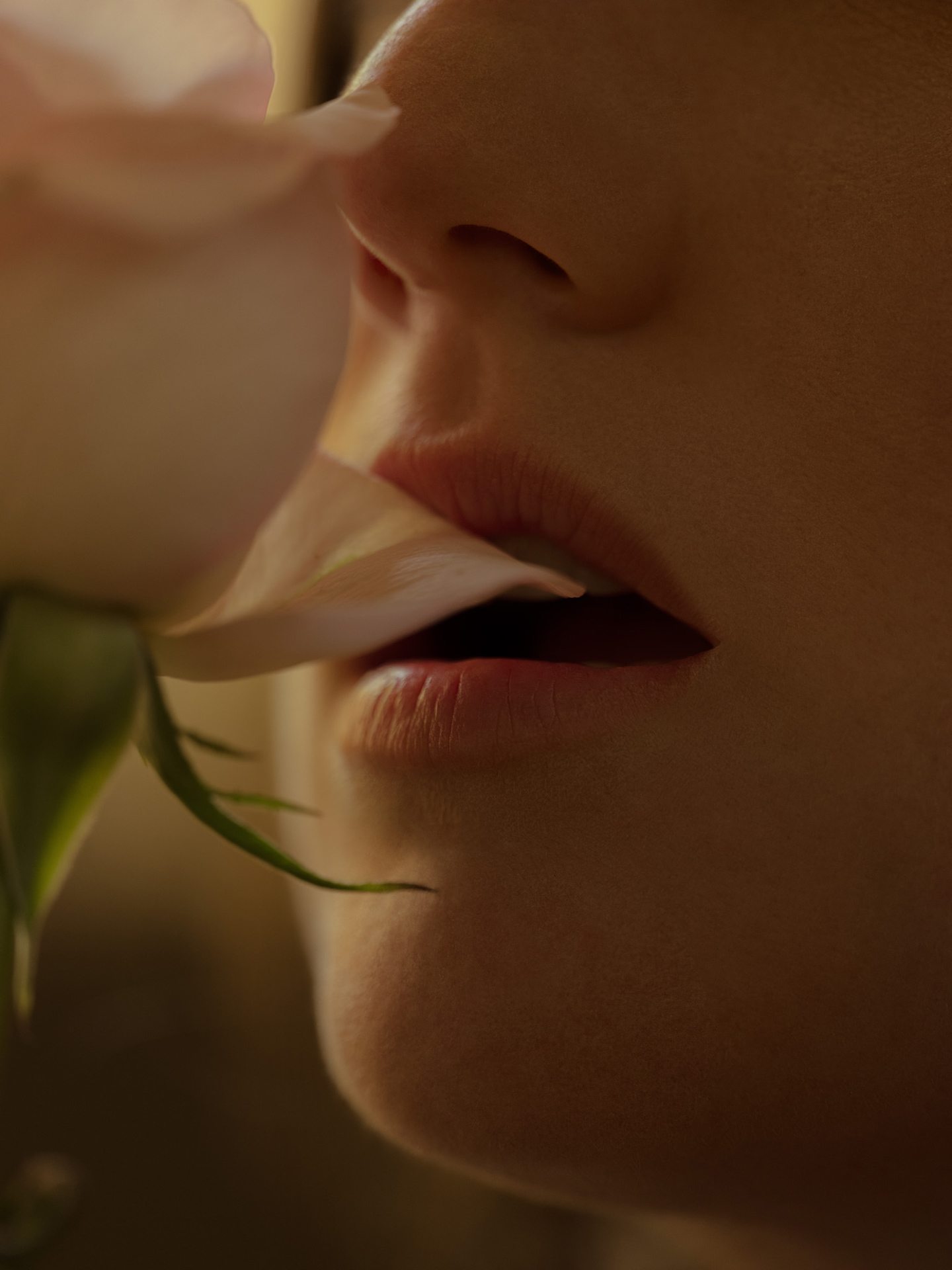 zoomed in portrait of singer Fanny Bloom rose petal between her lips for her album Liqueur by Maxyme G. Delisle