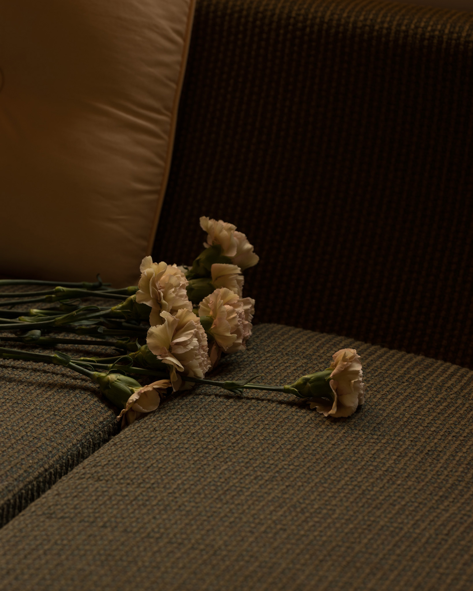 Fanny Bloom bouquet of white roses on a couch for her album Liqueur by Maxyme G. Delisle