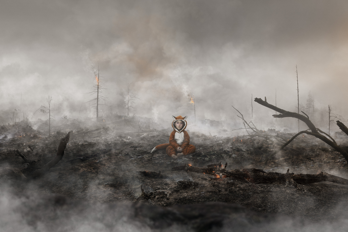 little girl in fox costume covered in soot crying in middle of burned forest by Simon Duhamel for Earth Day Lg2