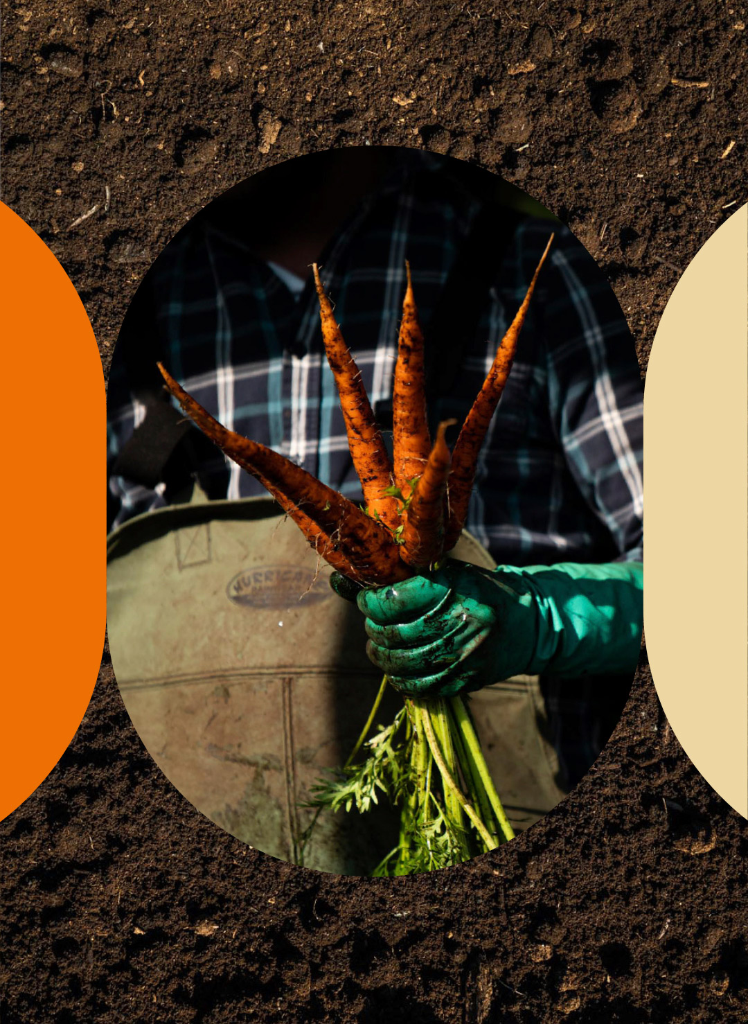 montage of farm worker holding bunch of carrots fresh from the earth over picture of dirt by Bruno Florin for Sollio Agriculture