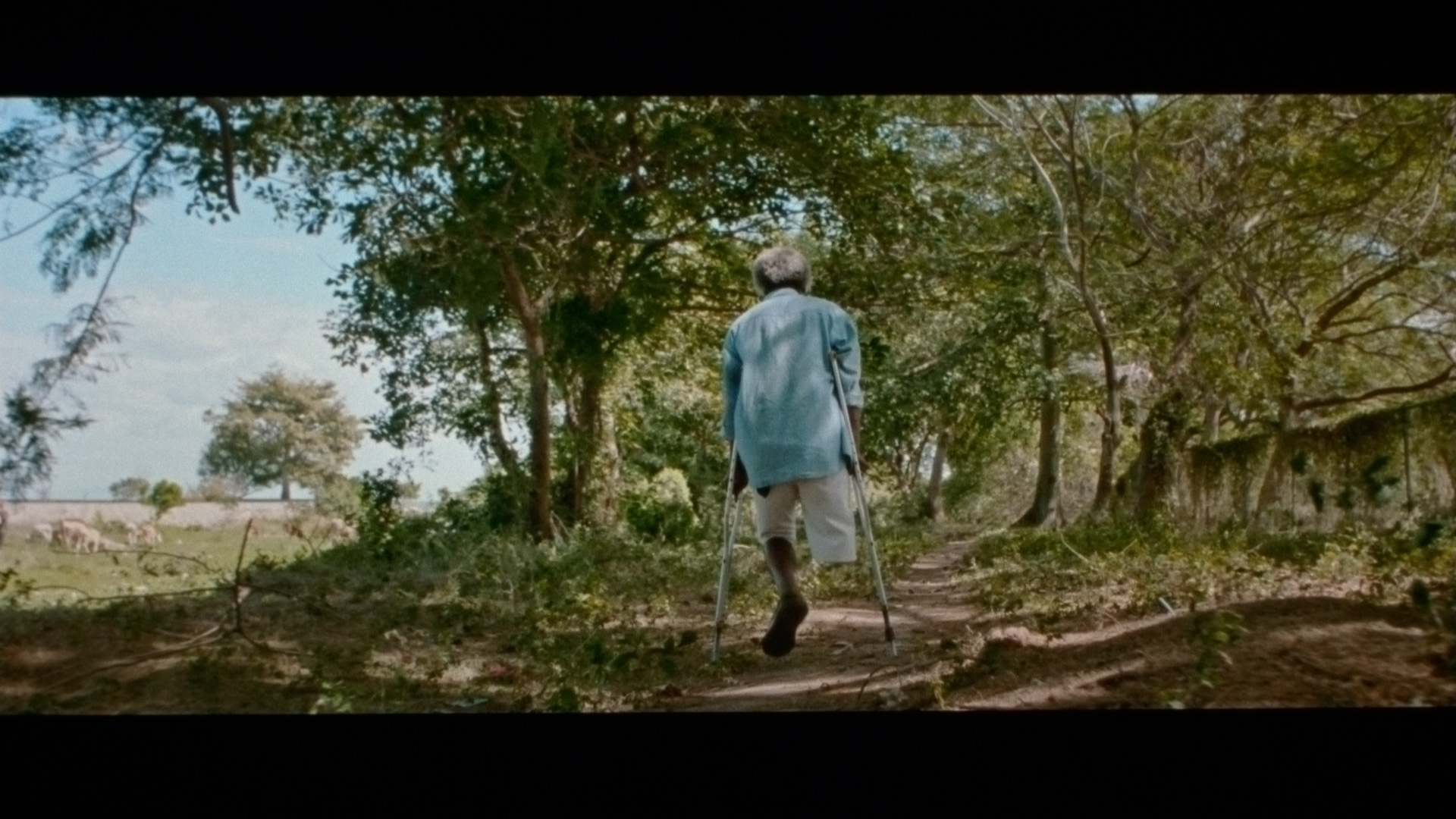 disabled man missing a leg using crutches to walk on dirt trail in between trees for singer Karim Ouellet music video of La Mer A Boire filmed by Les Gamins